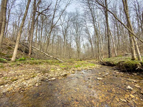 140 Acres of Recreational Land for Auction in Port Washington, Ohio