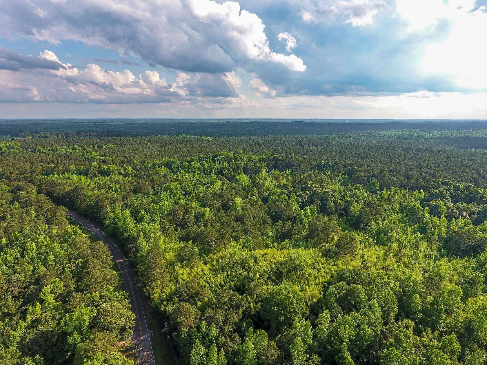 40.5 Acres of Recreational Land for Sale in Luthersville, Georgia