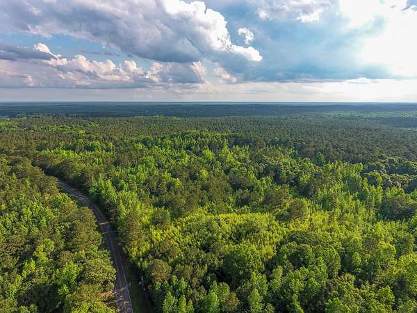 40.5 Acres of Recreational Land for Sale in Luthersville, Georgia