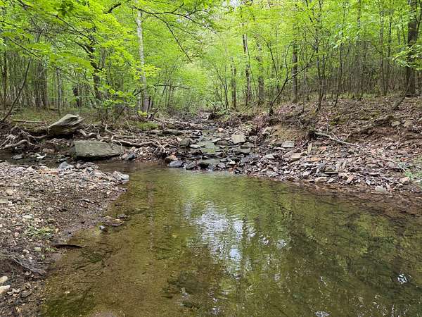 149 Acres of Recreational Land for Sale in Hot Springs, Arkansas