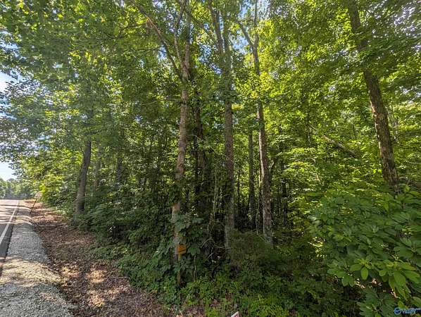 1 Acre of Residential Land for Sale in Gurley, Alabama