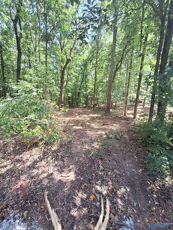 1 Acre of Residential Land for Sale in Gurley, Alabama