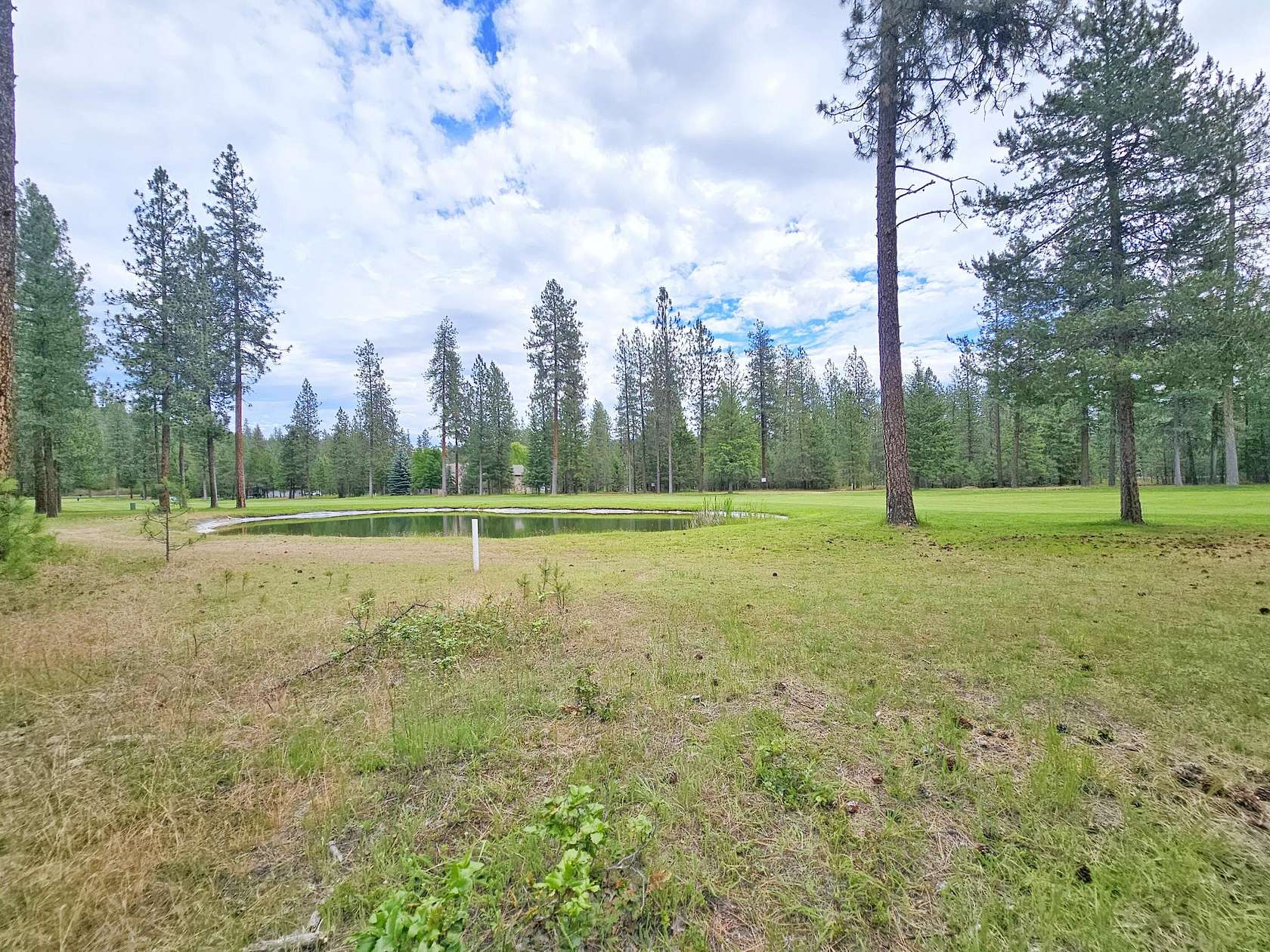 0.33 Acres of Residential Land for Sale in Chewelah, Washington