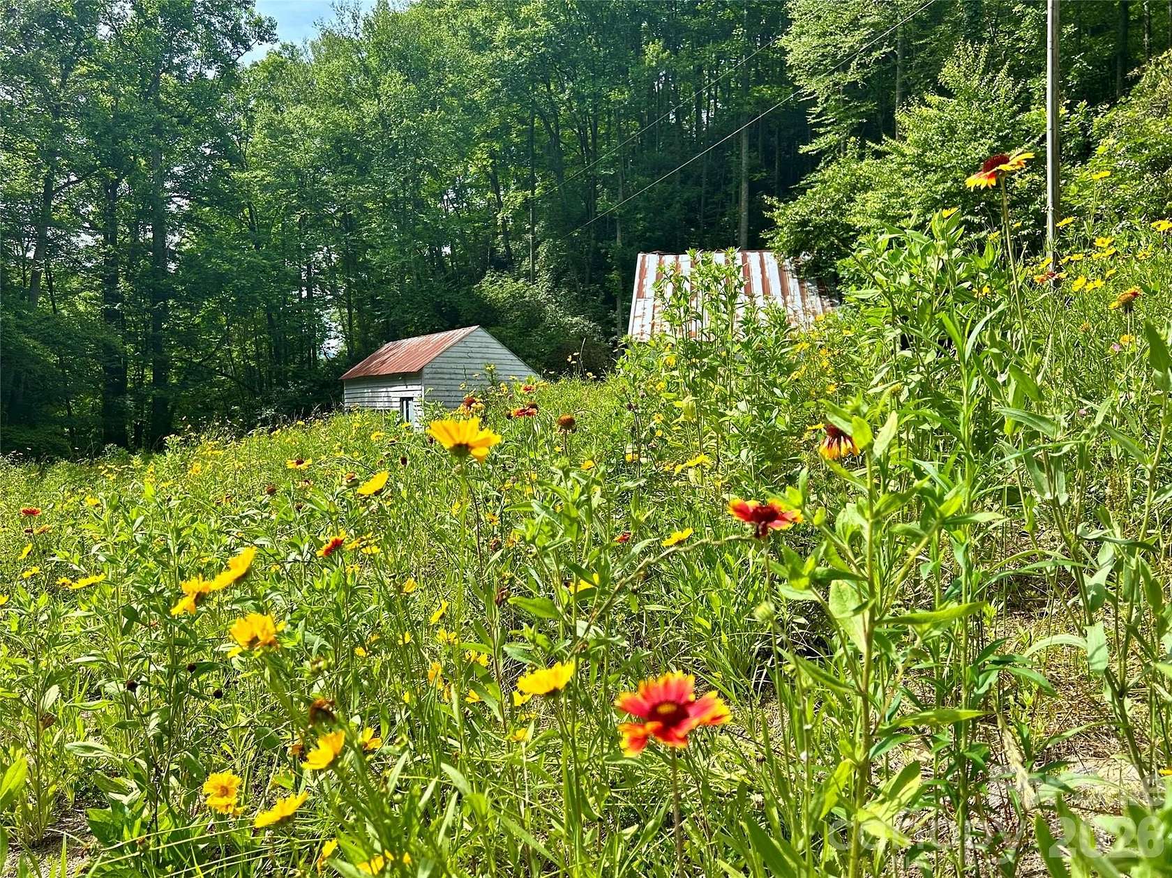 80 Acres of Land with Home for Sale in Black Mountain, North Carolina