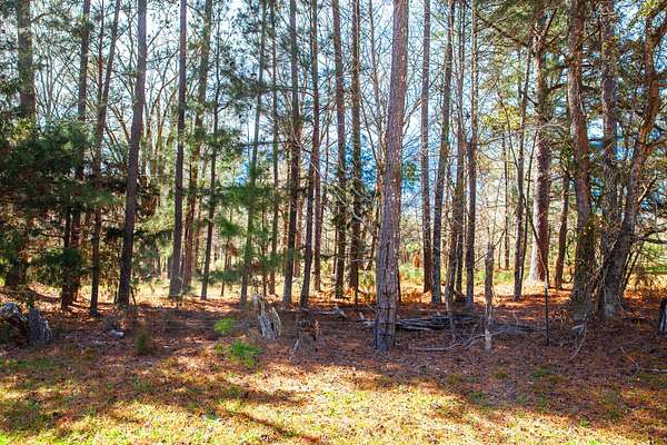 6 Acres of Residential Land for Sale in Appling, Georgia