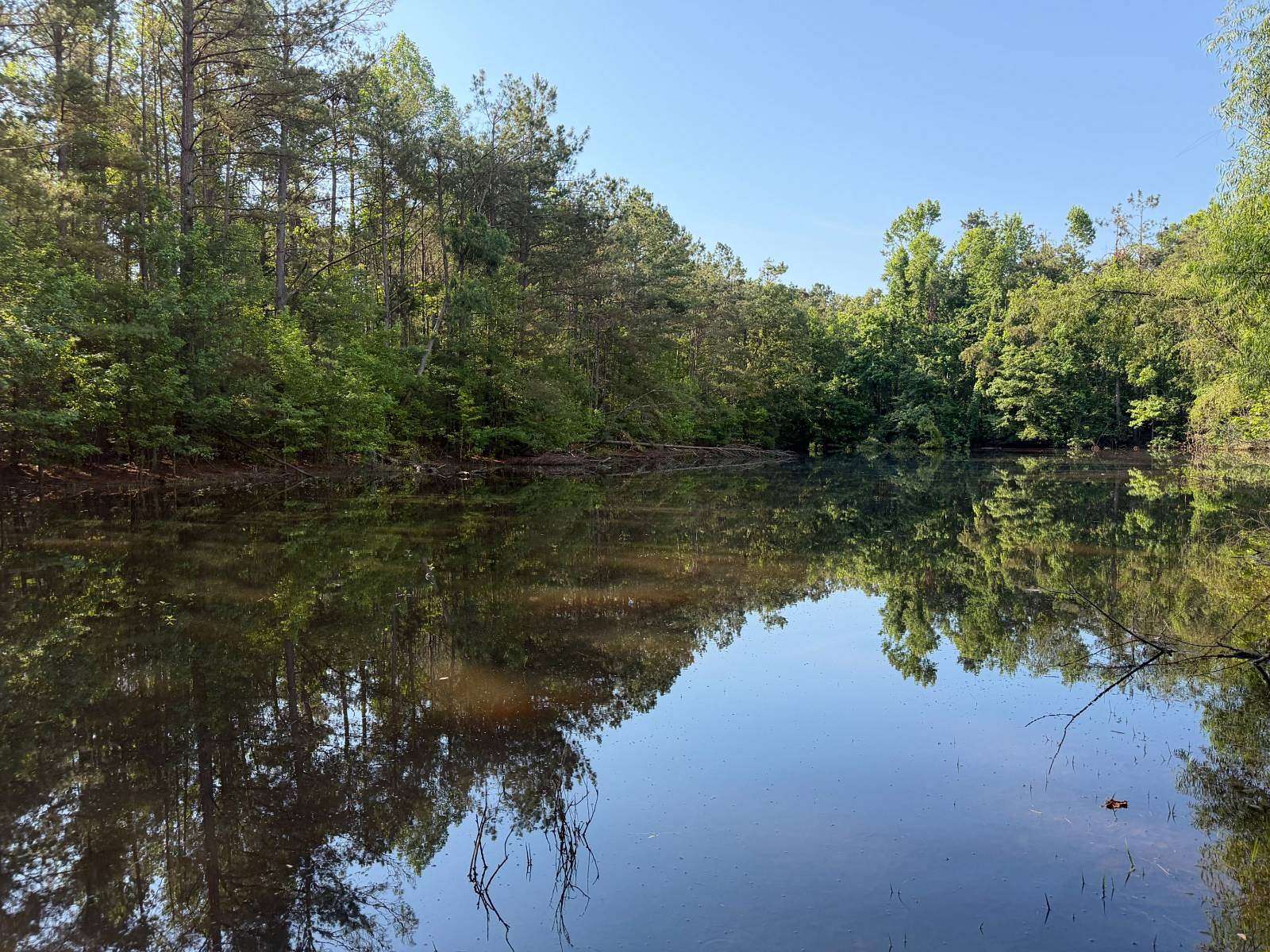 19 Acres of Land for Sale in Blue Springs, Mississippi