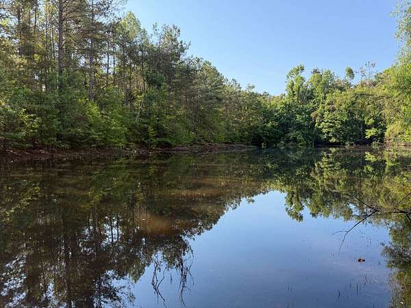 19 Acres of Land for Sale in Blue Springs, Mississippi