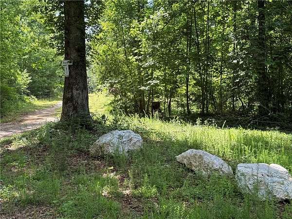 20 Acres of Recreational & Residential Land for Sale in Talking Rock, Georgia