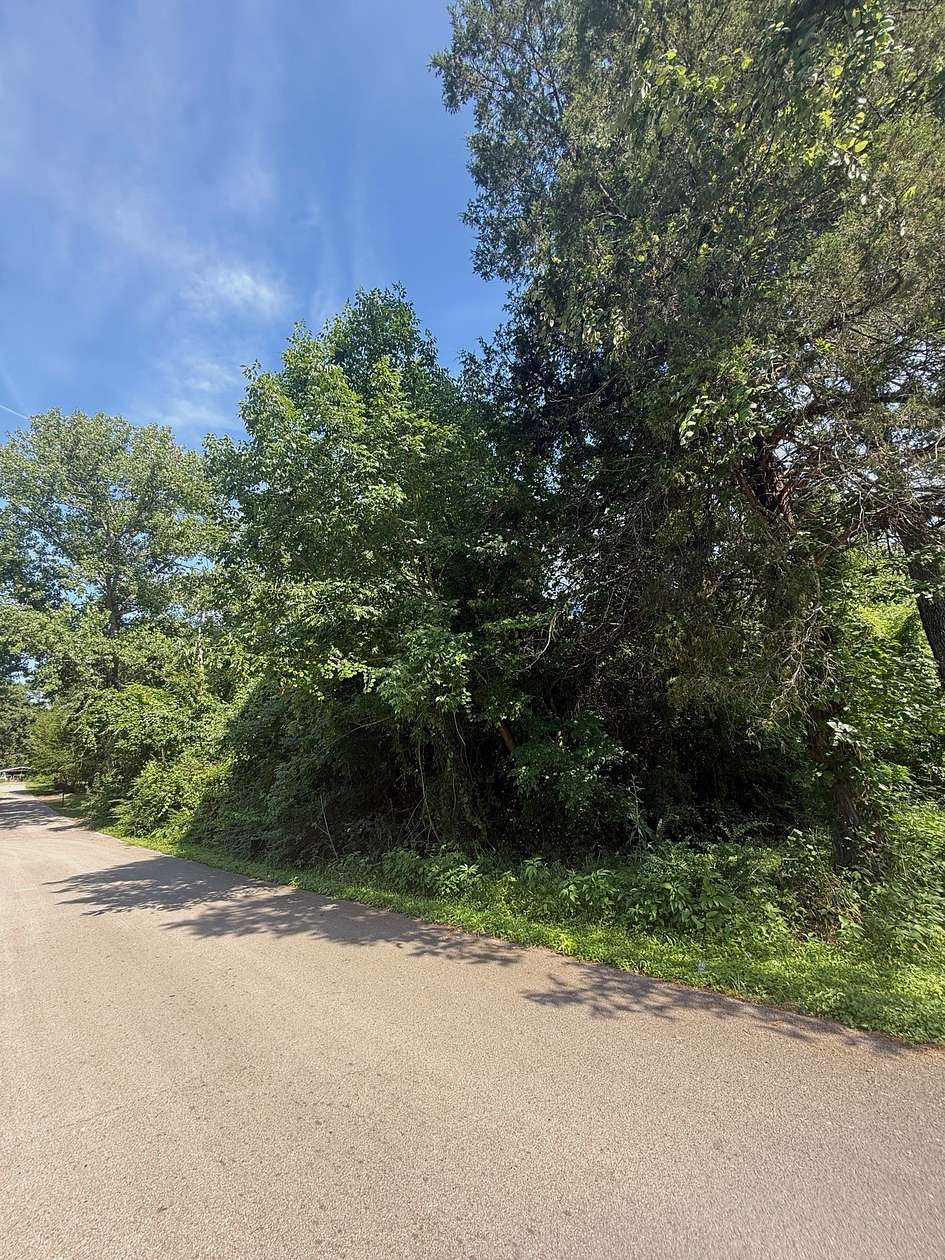 0.22 Acres of Residential Land for Sale in Tool, Texas