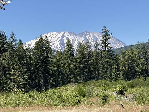 13.5 Acres of Recreational Land for Sale in Cougar, Washington