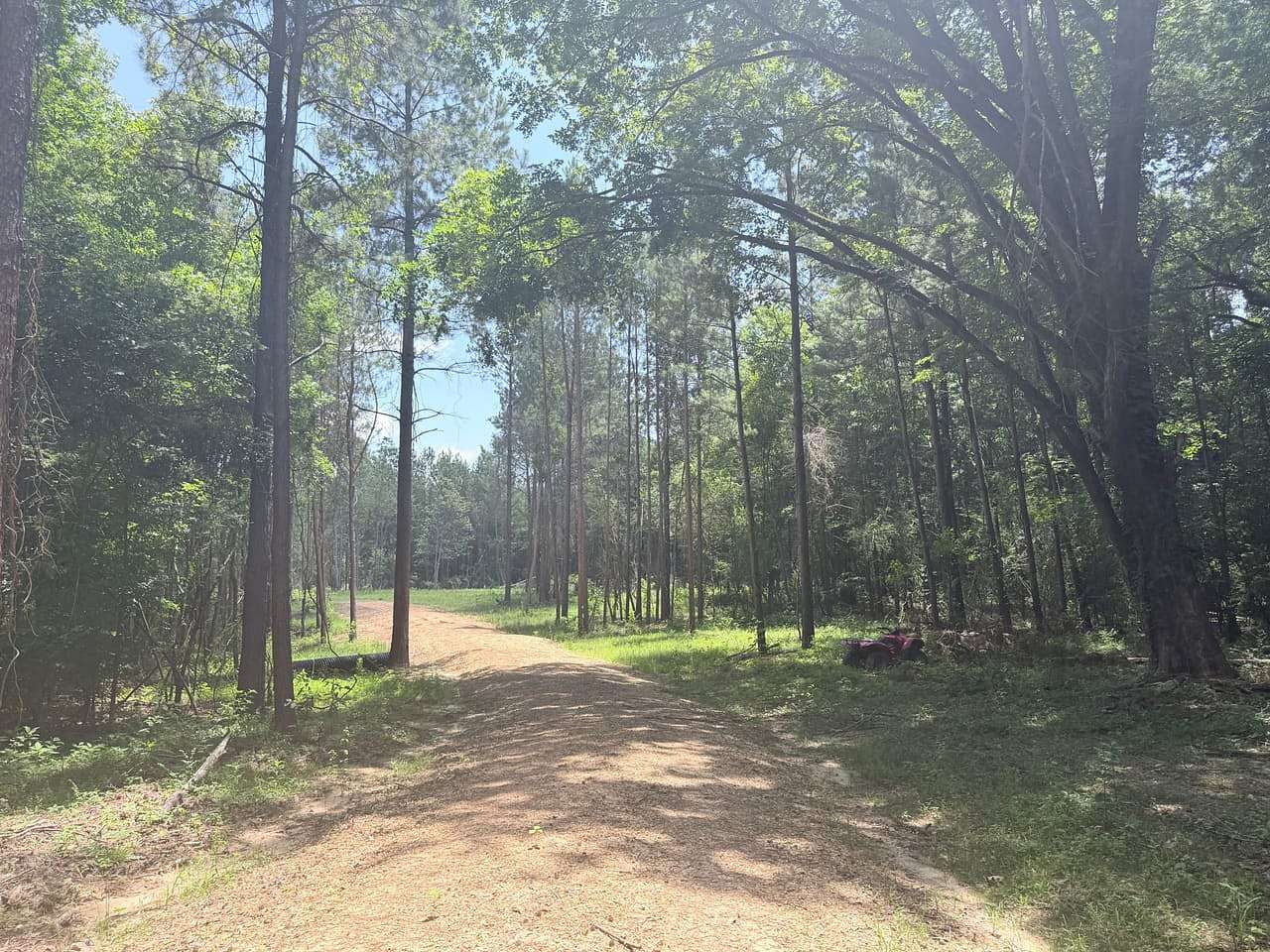 19 Acres of Recreational & Residential Land for Sale in Morton, Mississippi