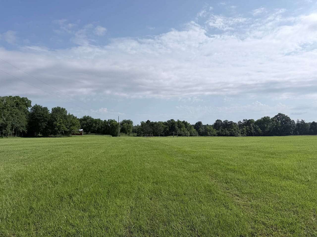 56 Acres of Land for Sale in Prentiss, Mississippi