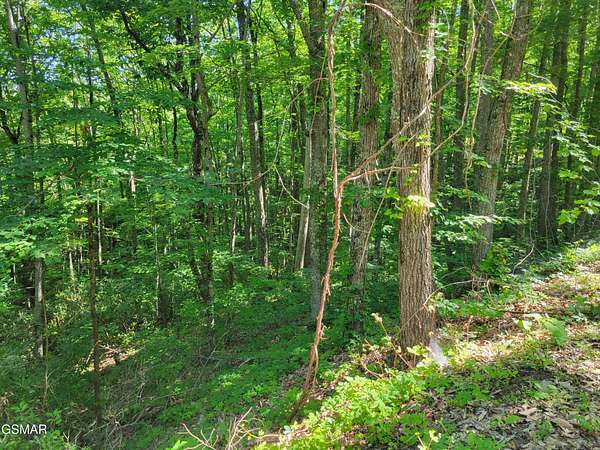 0.6 Acres of Land for Sale in Sevierville, Tennessee