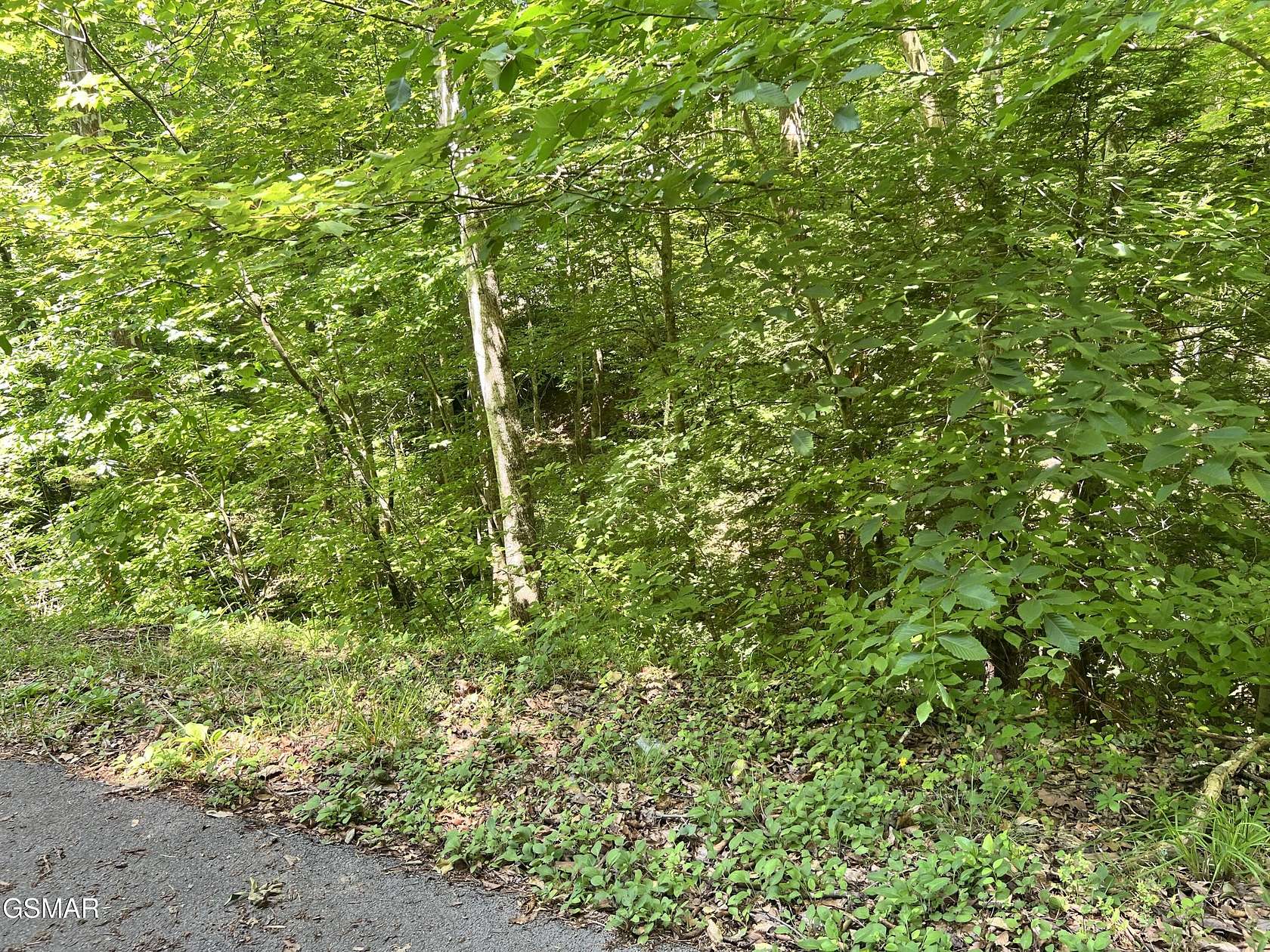 0.55 Acres of Residential Land for Sale in Sevierville, Tennessee