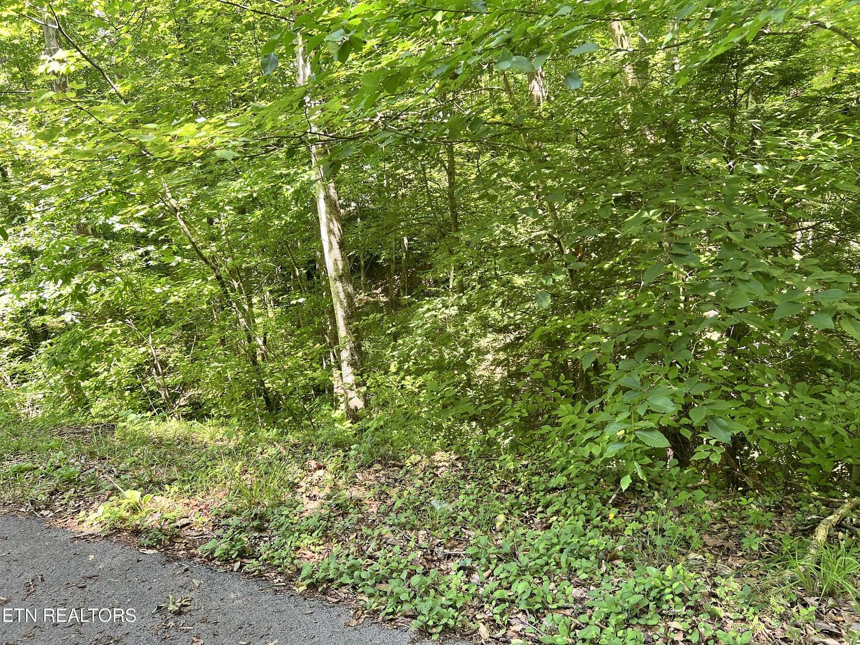 0.55 Acres of Residential Land for Sale in Sevierville, Tennessee