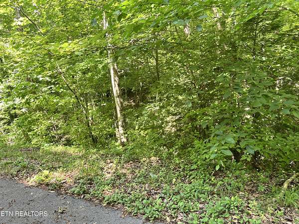 0.55 Acres of Residential Land for Sale in Sevierville, Tennessee