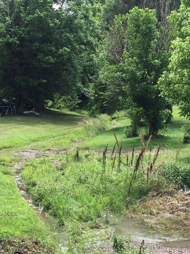 16.4 Acres of Land for Sale in Burkesville, Kentucky