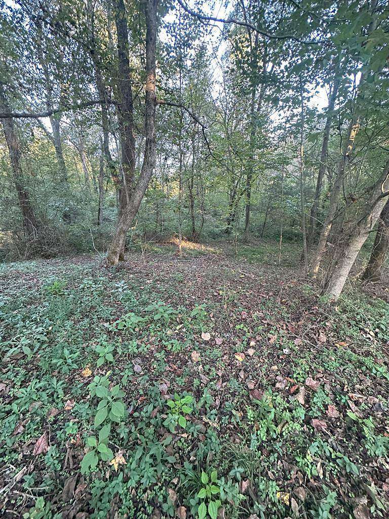 Land for Sale in Burkesville, Kentucky