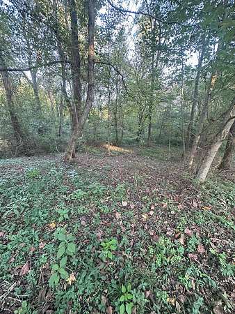Land for Sale in Burkesville, Kentucky