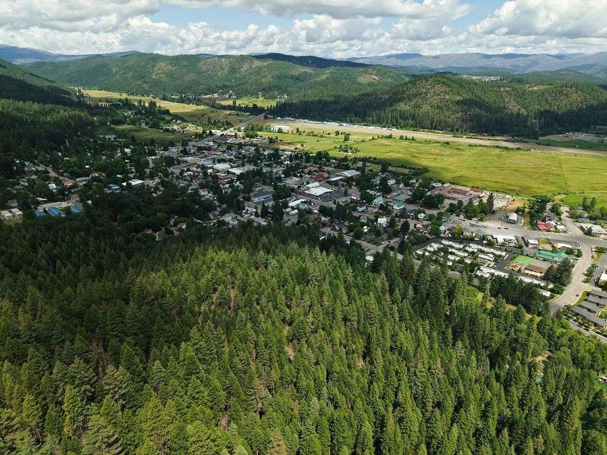 39.4 Acres of Land for Sale in Quincy, California