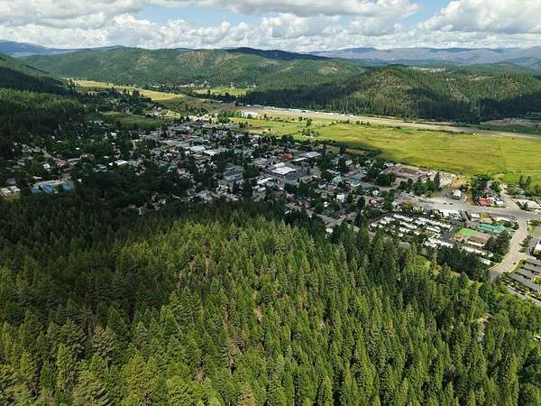 39.4 Acres of Land for Sale in Quincy, California