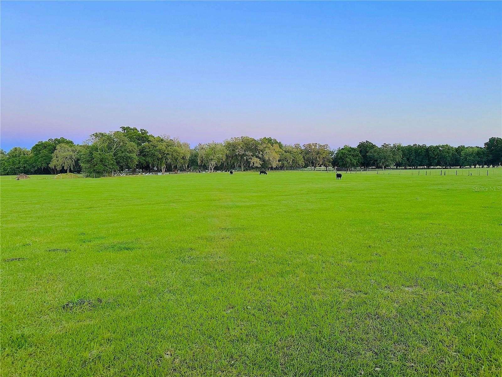 10.2 Acres of Land with Home for Sale in Thonotosassa, Florida