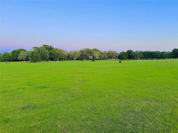 10.2 Acres of Land with Home for Sale in Thonotosassa, Florida