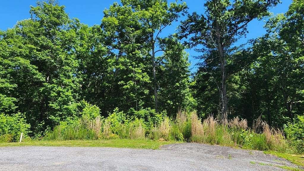 1.19 Acres of Land for Sale in Ellijay, Georgia