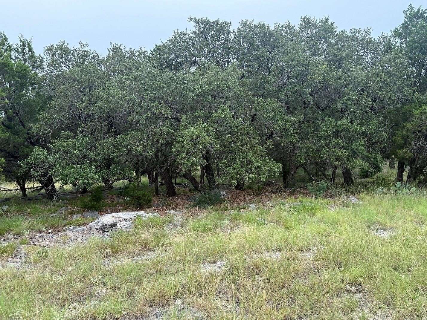 0.25 Acres of Residential Land for Sale in Horseshoe Bay, Texas