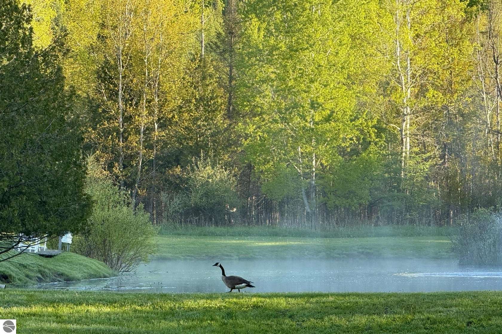 401 Acres of Land with Home for Sale in Cedar, Michigan