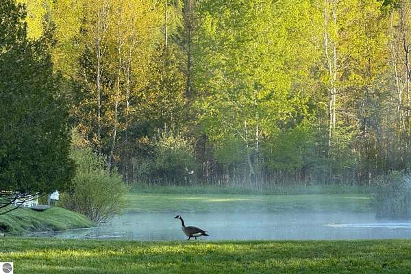 401 Acres of Land with Home for Sale in Cedar, Michigan