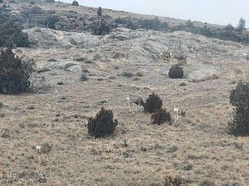49.4 Acres of Recreational Land for Sale in Norris, Montana