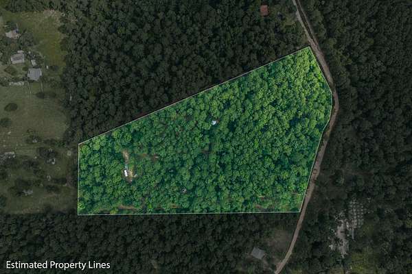 13 Acres of Improved Land for Sale in Centerville, Texas