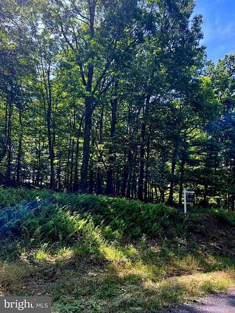 6.68 Acres of Land for Sale in Star Tannery, Virginia