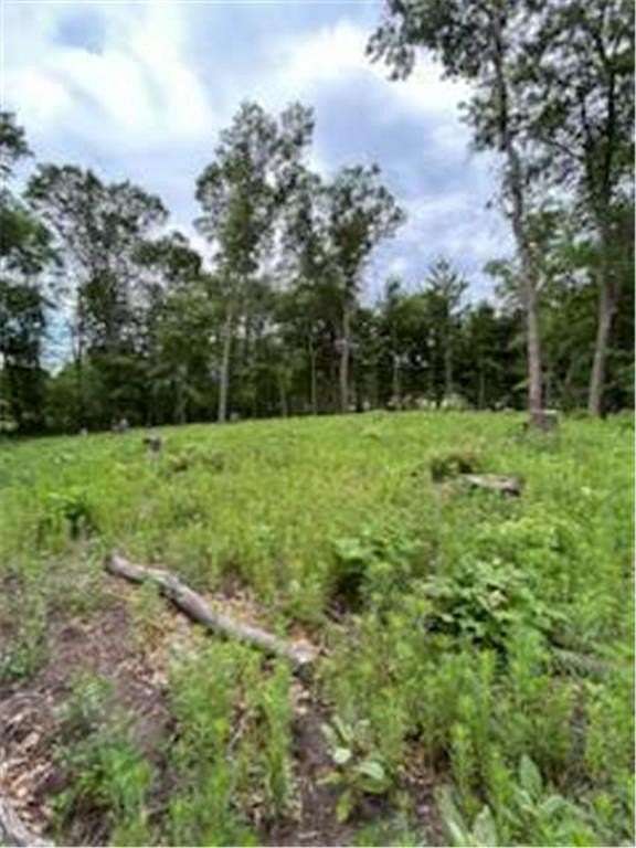 1.38 Acres of Land for Sale in Ham Lake, Minnesota