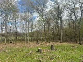 1.38 Acres of Land for Sale in Ham Lake, Minnesota