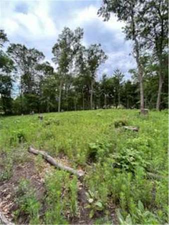 1.38 Acres of Land for Sale in Ham Lake, Minnesota