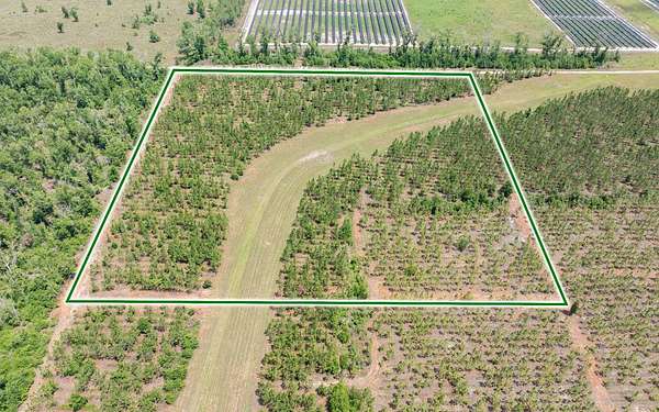 10 Acres of Recreational & Residential Land for Sale in Live Oak, Florida
