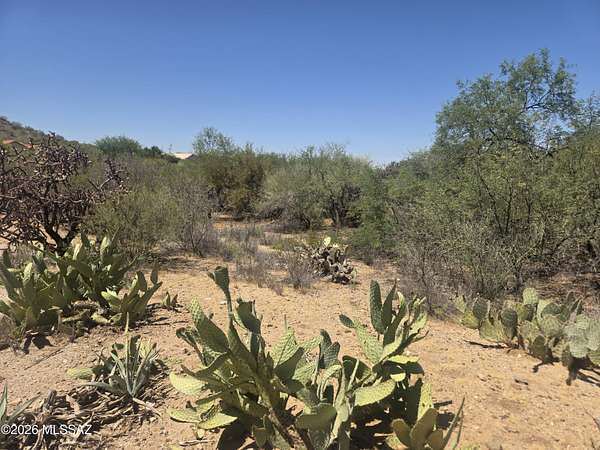 2.17 Acres of Residential Land for Sale in Tucson, Arizona