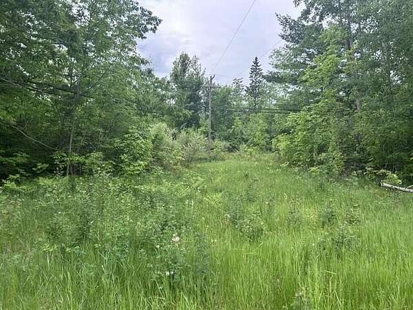 0.75 Acres of Land for Sale in Spruce, Michigan