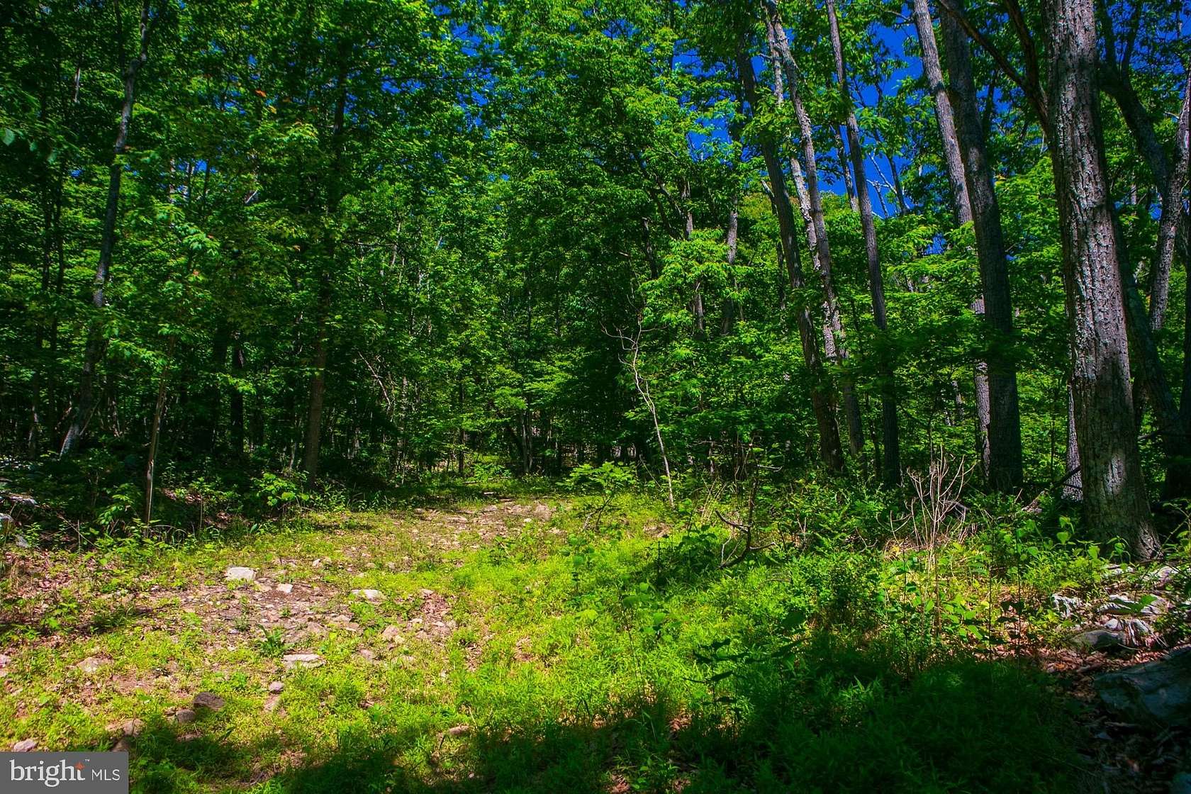 1.49 Acres of Residential Land for Sale in Winchester, Virginia