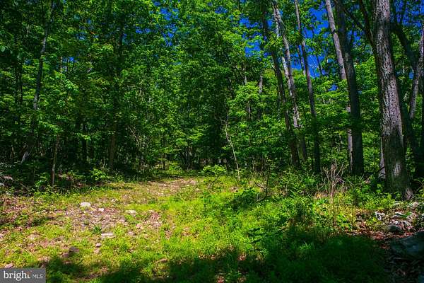 1.49 Acres of Residential Land for Sale in Winchester, Virginia