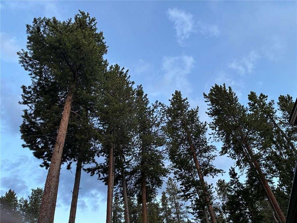 2.17 Acres of Residential Land for Sale in Fairplay, Colorado