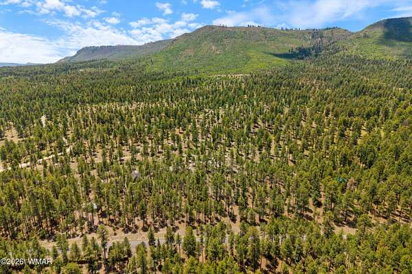 1.37 Acres of Residential Land for Sale in Alpine, Arizona