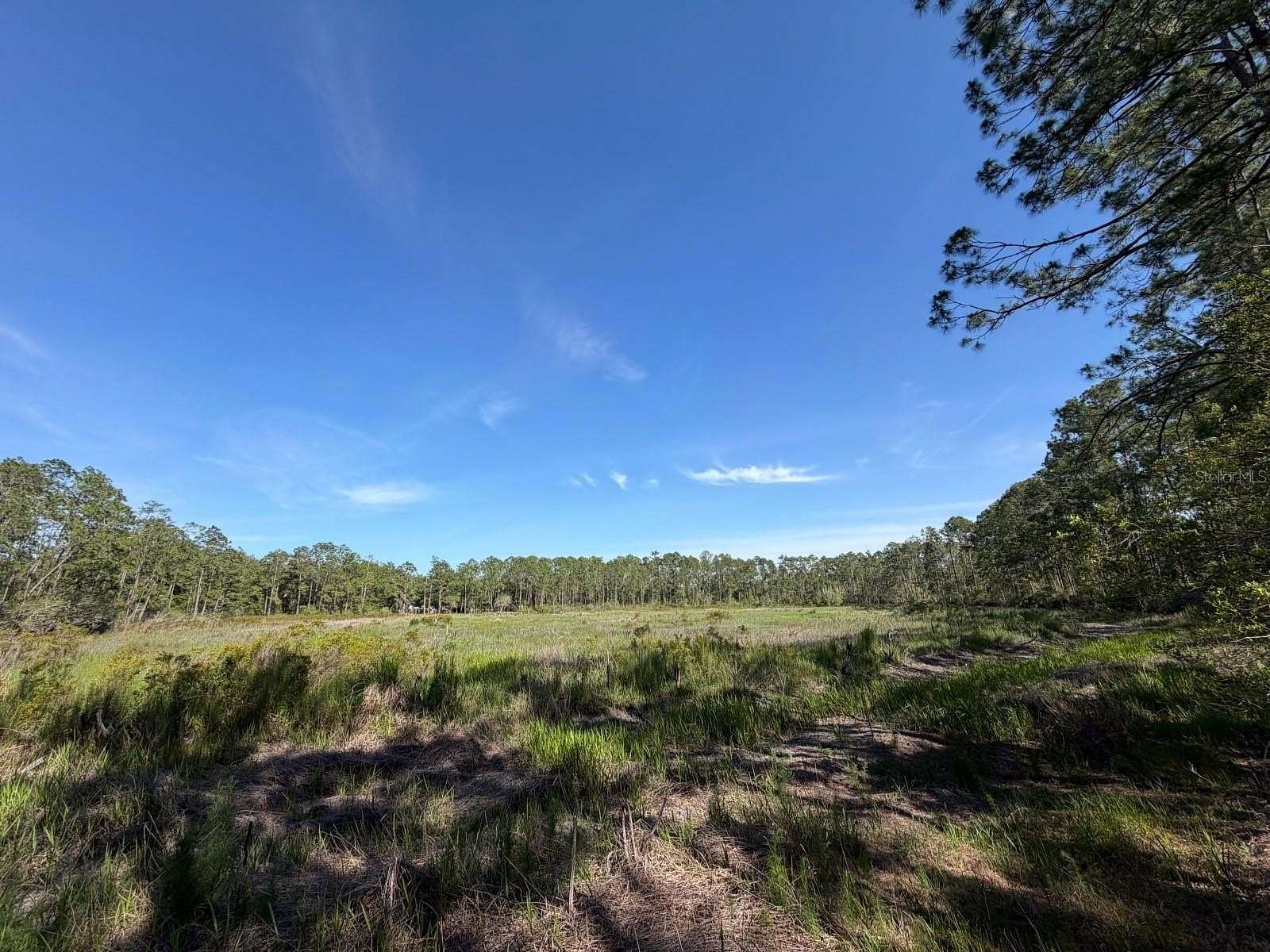 0.84 Acres of Residential Land for Sale in Fort McCoy, Florida