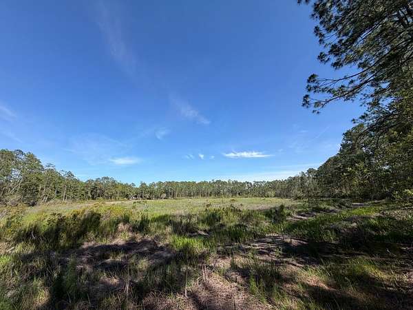 0.84 Acres of Residential Land for Sale in Fort McCoy, Florida