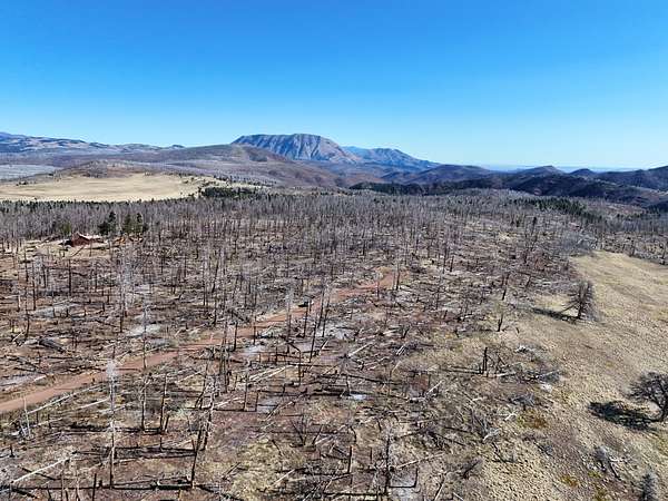 1.13 Acres of Residential Land for Sale in Fort Garland, Colorado