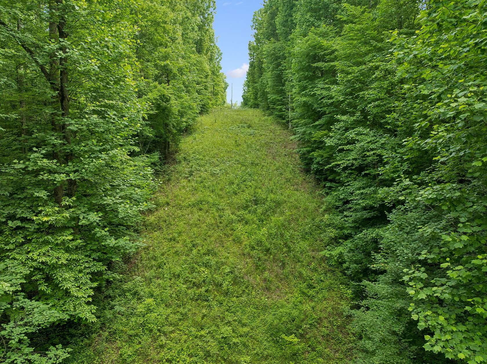 24 Acres of Land for Sale in Franklin, Tennessee