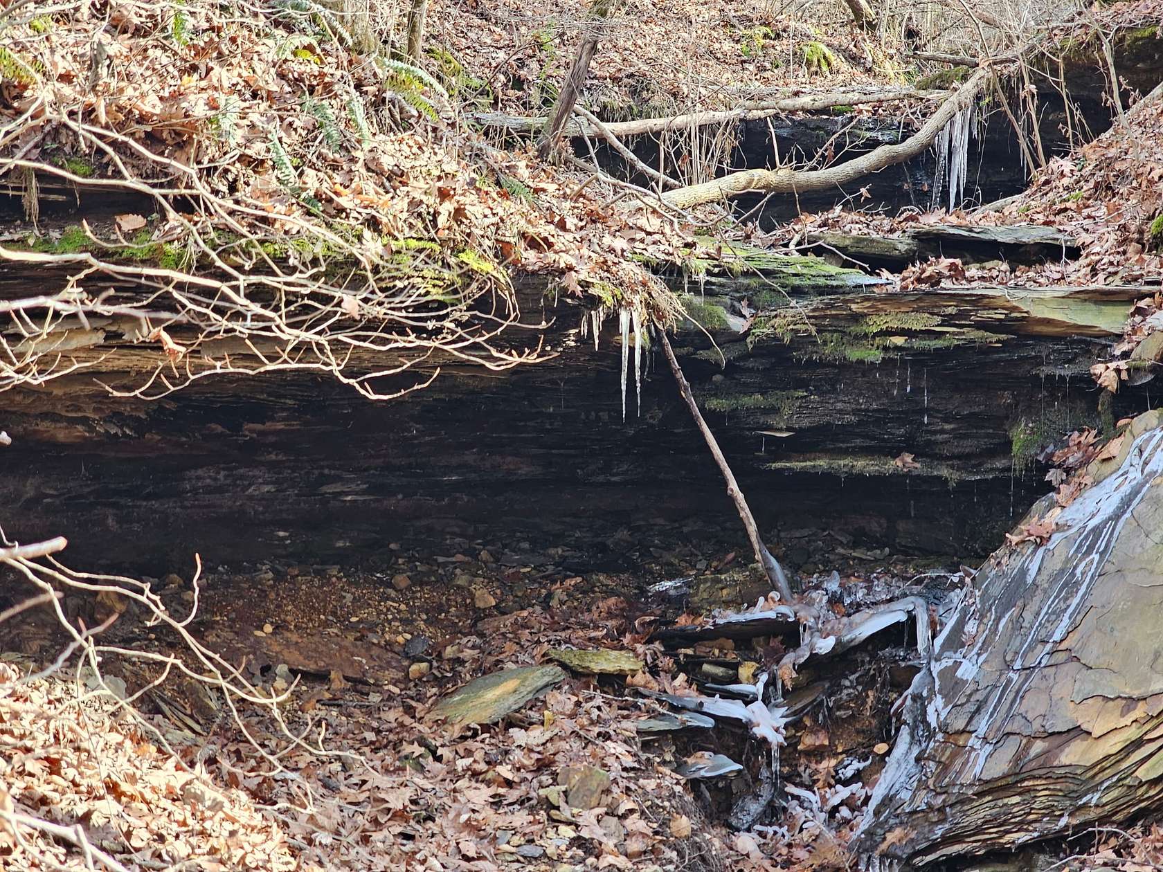 24 Acres of Land for Sale in Franklin, Tennessee