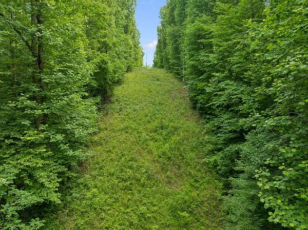 24 Acres of Land for Sale in Franklin, Tennessee